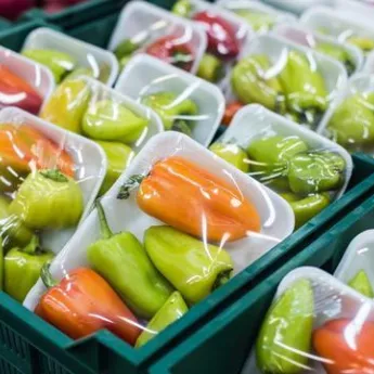 Key Benefits of Using Anti-Viral Masterbatch in…